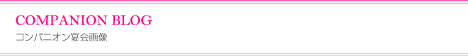 COMPANION BLOG　コンパニオン宴会画像