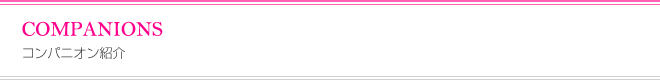 COMPANIONS　コンパニオン紹介
